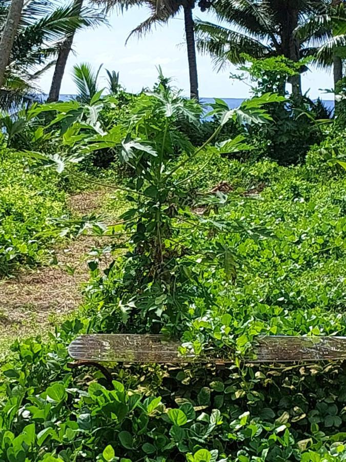 Barefoot Base Tupapa Apartamento Rarotonga Exterior foto
