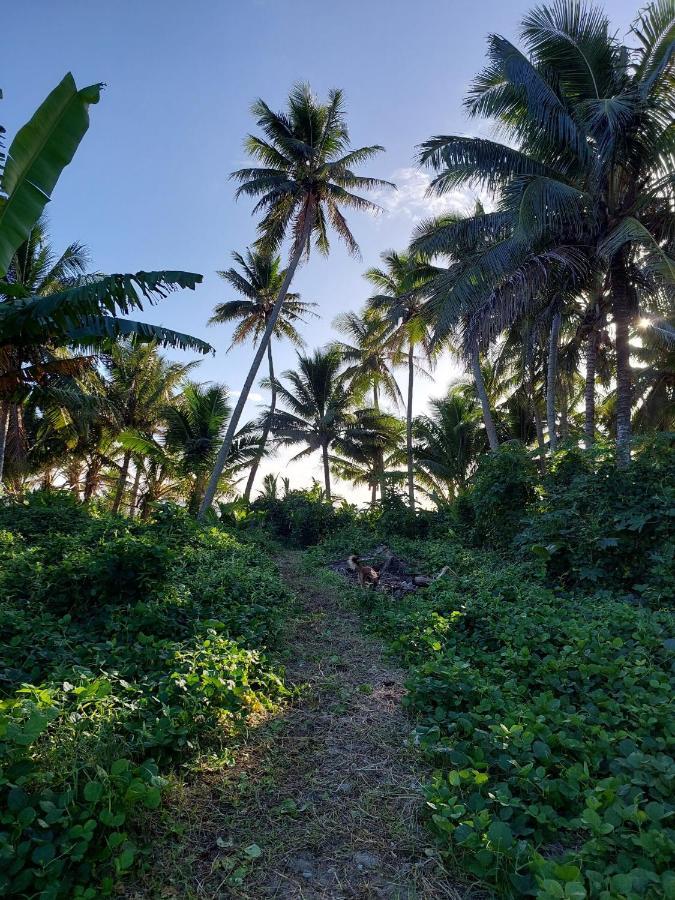 Barefoot Base Tupapa Apartamento Rarotonga Exterior foto
