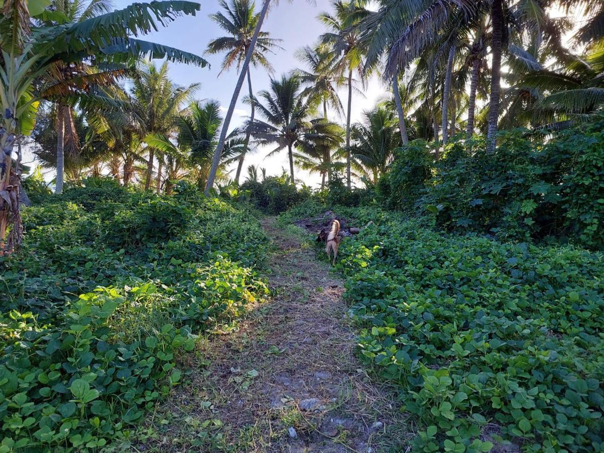 Barefoot Base Tupapa Apartamento Rarotonga Exterior foto