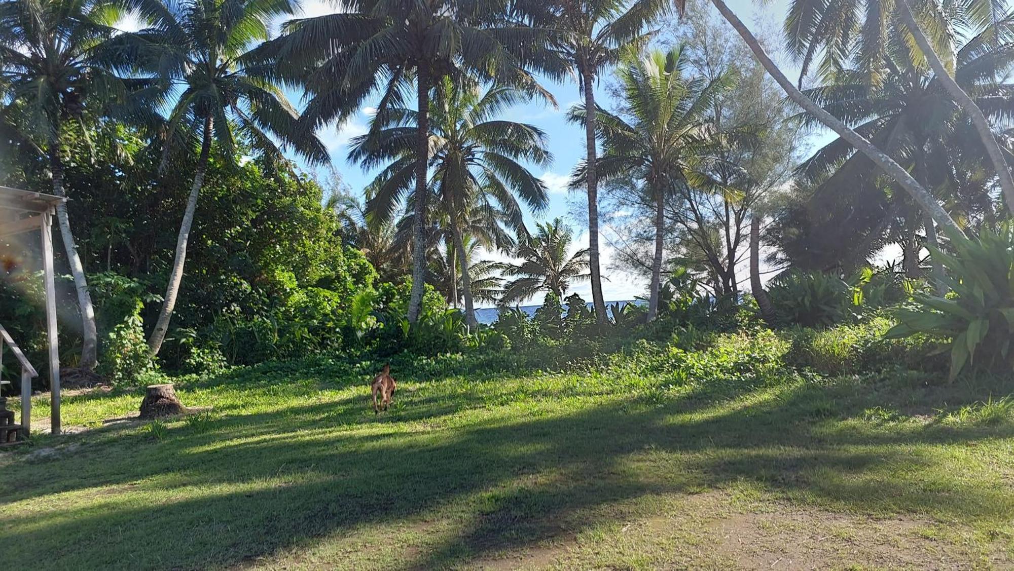 Barefoot Base Tupapa Apartamento Rarotonga Quarto foto